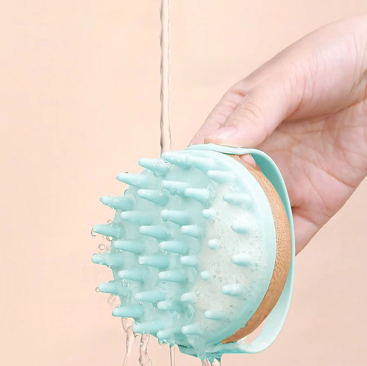 Immagine WhatsApp 2023-12-30 ore 19.52.56_f77c0756.jpg__PID:2be1af6b-7d43-4a05-9ff9-afd2d5bd257c